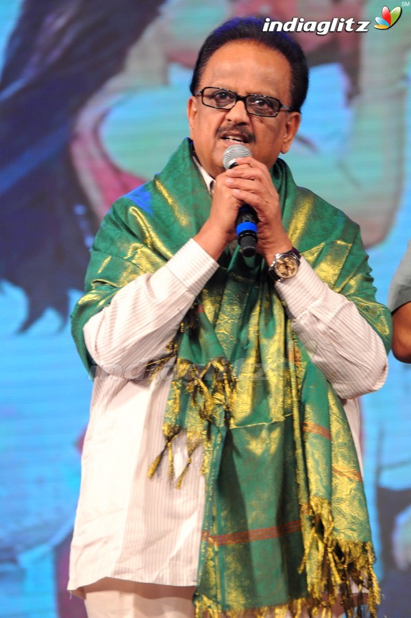 'Greekuveerudu' Audio Launch (Set-3)