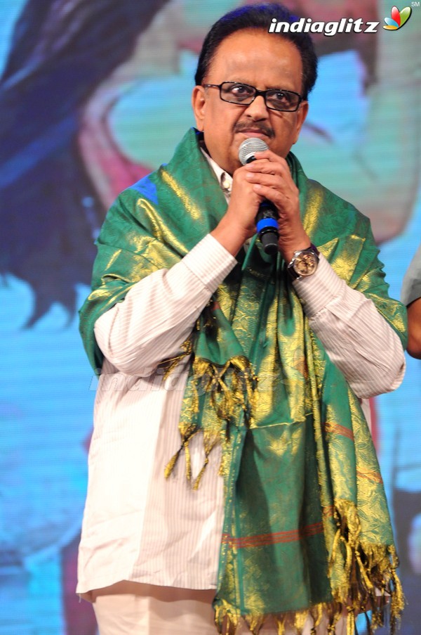 'Greekuveerudu' Audio Launch (Set-3)