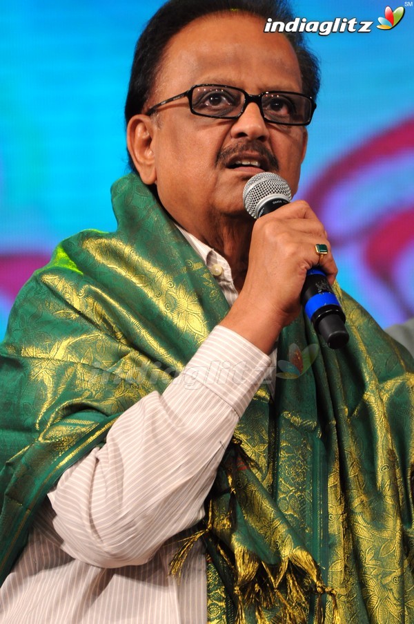 'Greekuveerudu' Audio Launch (Set-3)