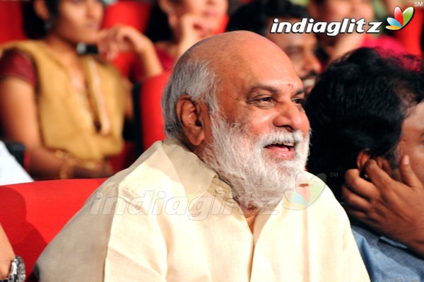 'Greekuveerudu' Audio Launch (Set-3)