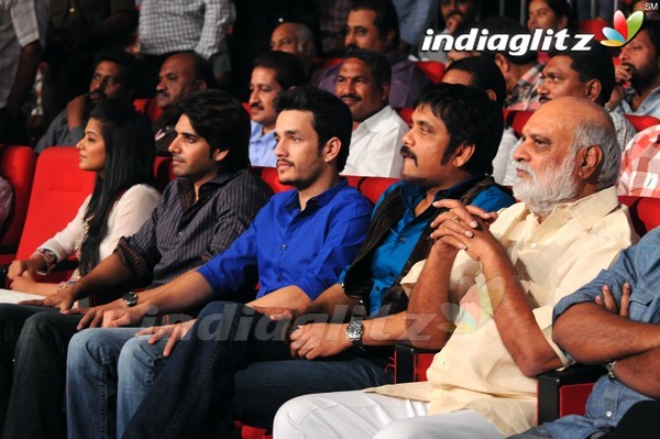 'Greekuveerudu' Audio Launch (Set-3)