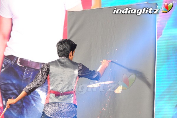 'Greekuveerudu' Audio Launch (Set-3)