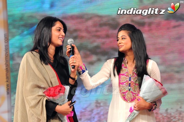 'Greekuveerudu' Audio Launch (Set-3)