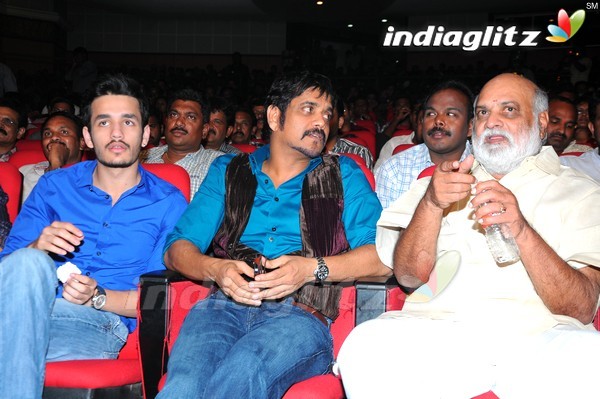 'Greekuveerudu' Audio Launch (Set-3)