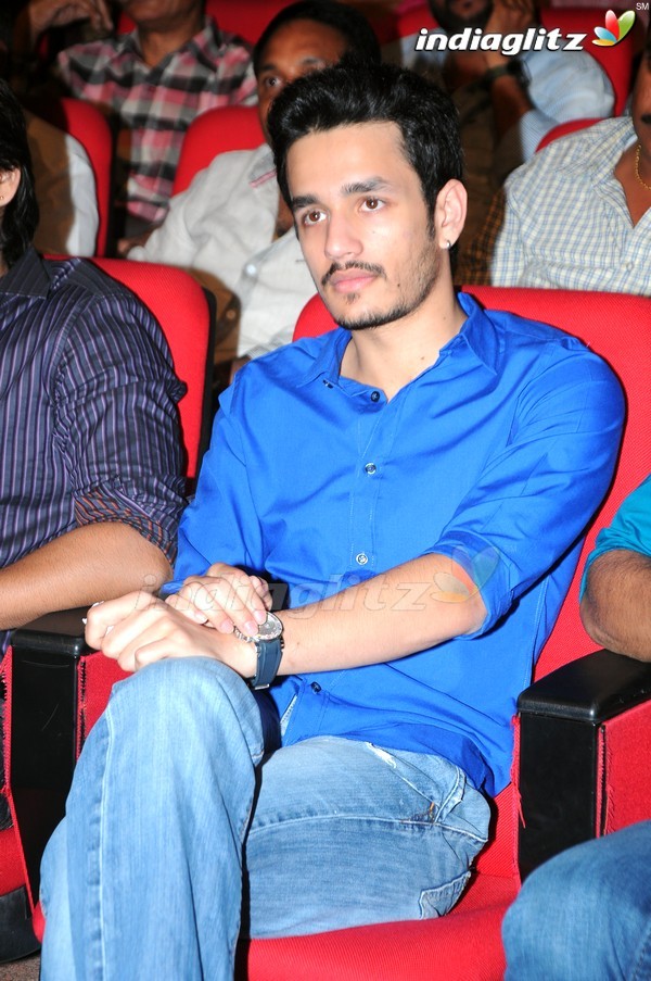 'Greekuveerudu' Audio Launch (Set-3)