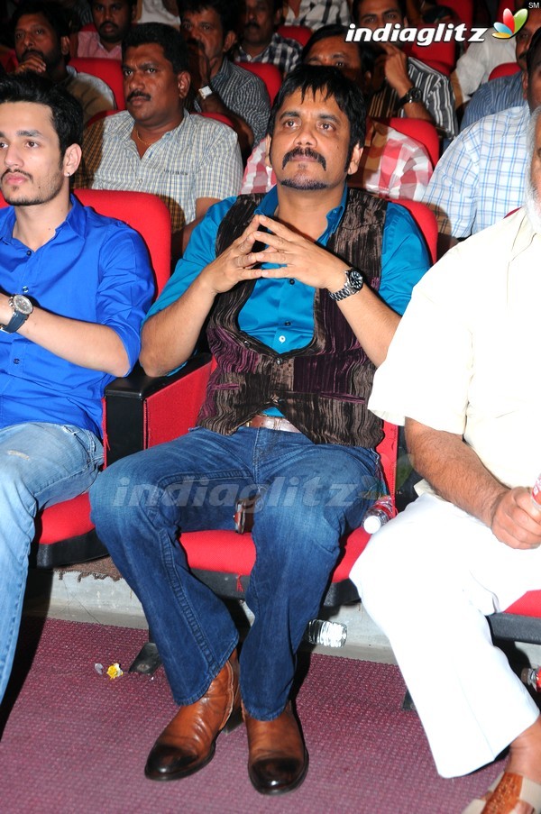 'Greekuveerudu' Audio Launch (Set-3)