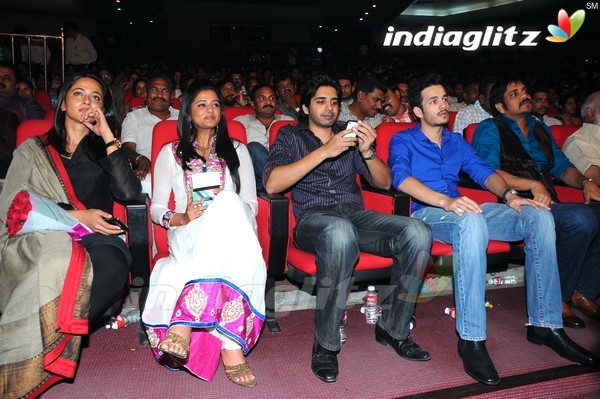 'Greekuveerudu' Audio Launch (Set-3)