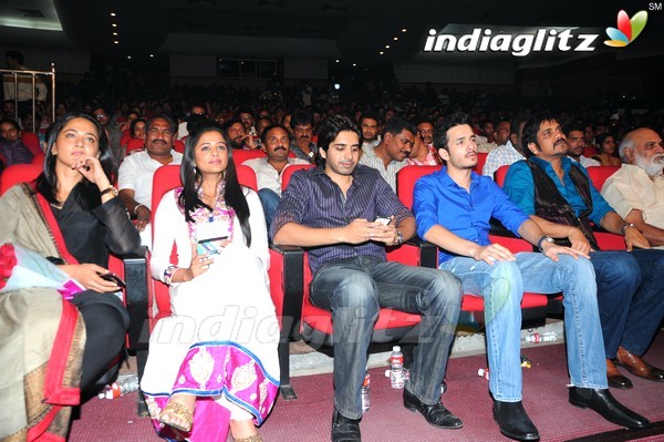 'Greekuveerudu' Audio Launch (Set-3)