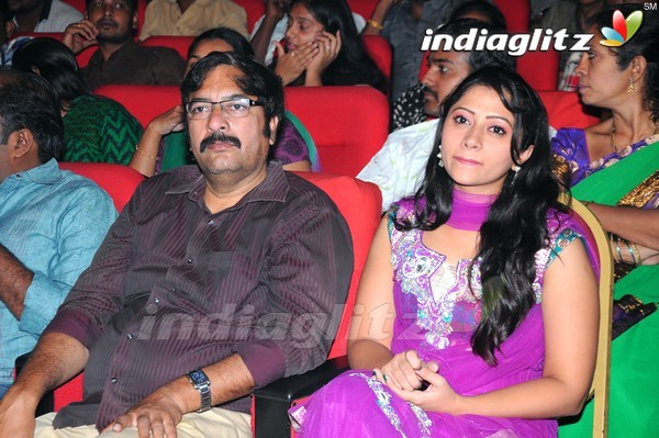 'Greekuveerudu' Audio Launch (Set-3)