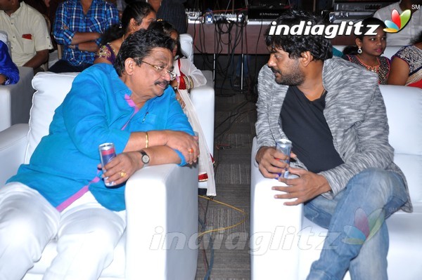 'Jyothi Lakshmi' Audio Launch Set-1