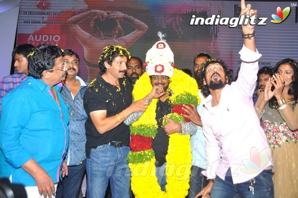 'Jyothi Lakshmi' Audio Launch Set-2