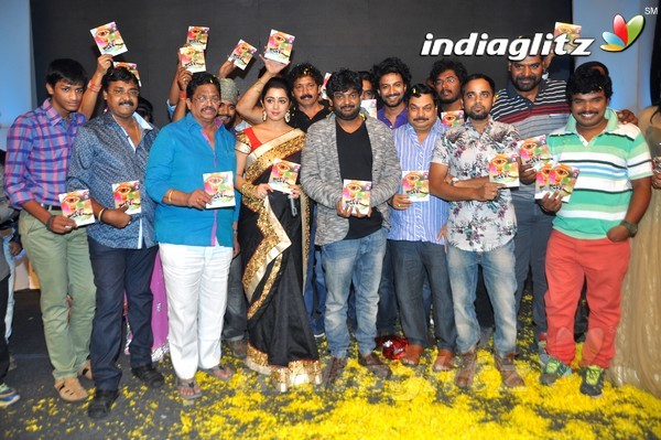 'Jyothi Lakshmi' Audio Launch Set-2