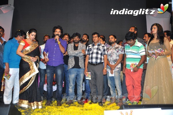 'Jyothi Lakshmi' Audio Launch Set-2