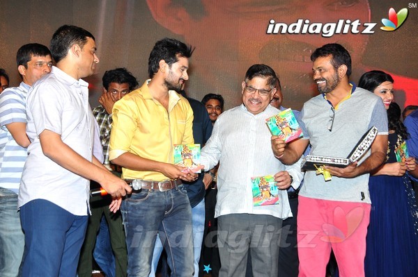 'Kerintha' Audio Launch Set-2