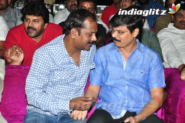 'Kick 2' Audio Launch Set-1