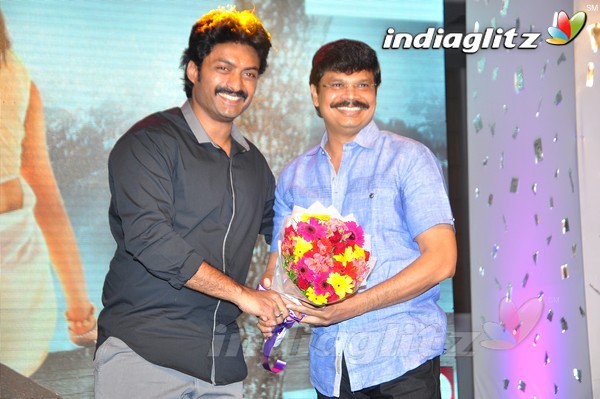 'Kick 2' Audio Launch Set-2