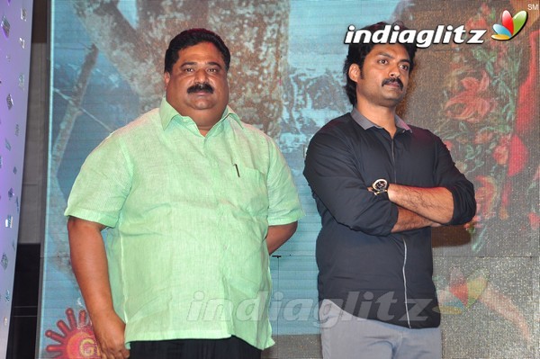 'Kick 2' Audio Launch Set-2