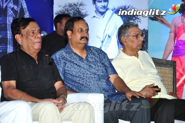 Super Star Krishna 73rd Birthday Celebrations