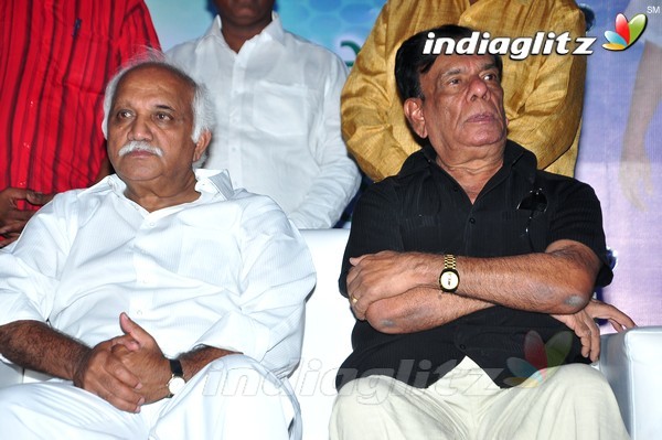 Super Star Krishna 73rd Birthday Celebrations