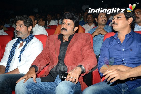 'Legend' Audio Launch(Set-2)