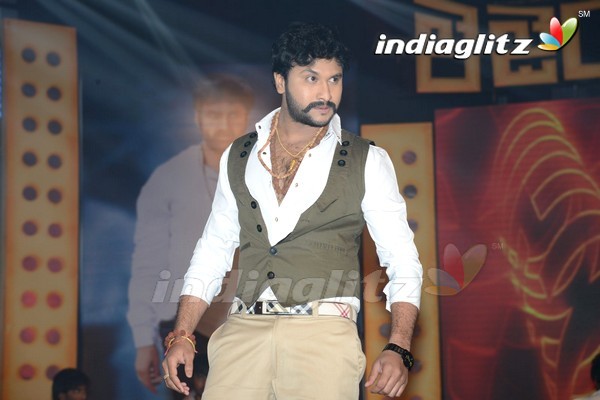 'Legend' Audio Launch(Set-2)