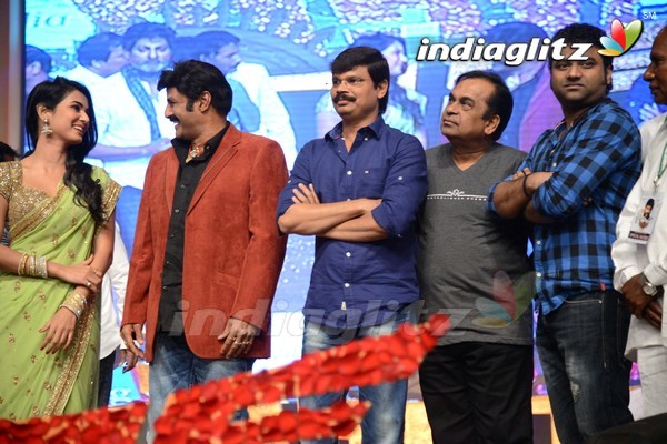 'Legend' Audio Launch(Set-2)