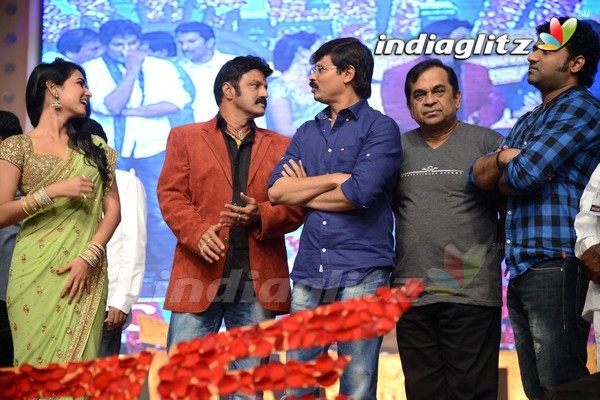 'Legend' Audio Launch(Set-2)