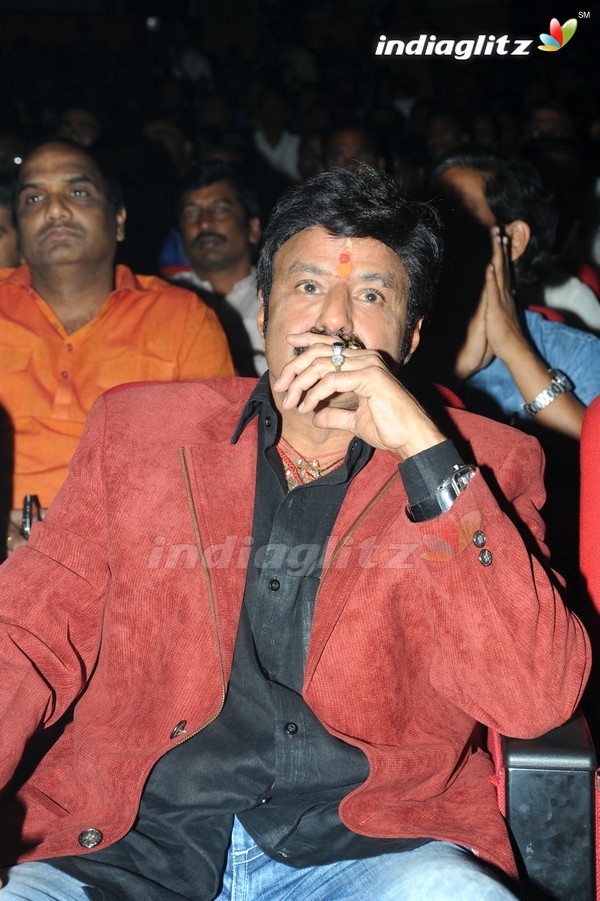 'Legend' Audio Launch(Set-2)