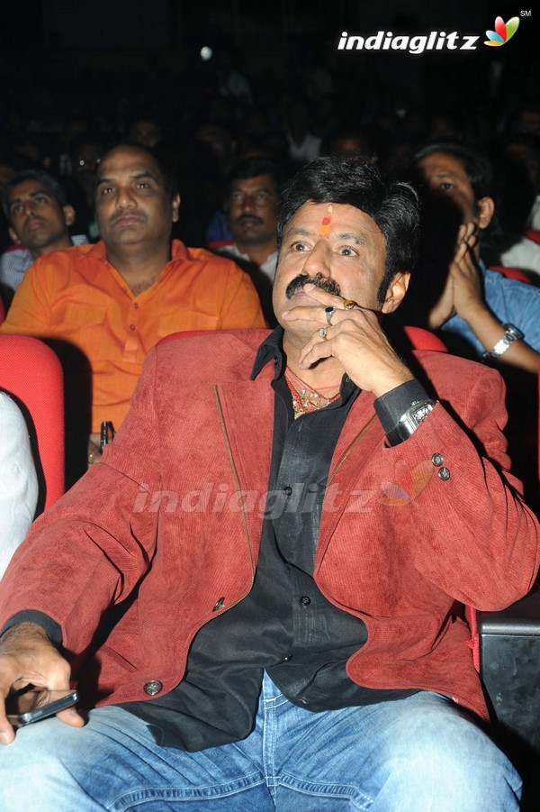 'Legend' Audio Launch(Set-2)