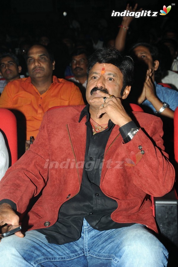 'Legend' Audio Launch(Set-2)