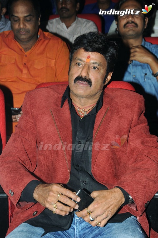 'Legend' Audio Launch(Set-2)