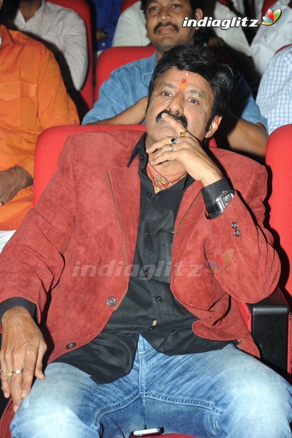 'Legend' Audio Launch(Set-2)