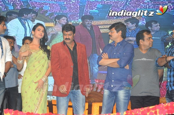 'Legend' Audio Launch(Set-2)