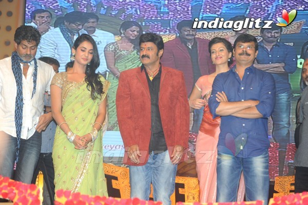 'Legend' Audio Launch(Set-2)