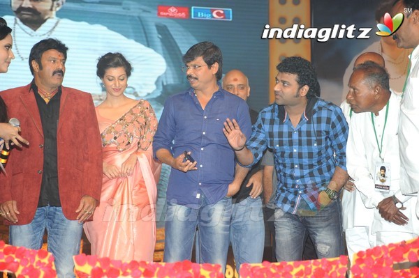 'Legend' Audio Launch(Set-2)