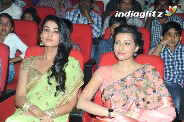 'Legend' Audio Launch(Set-2)