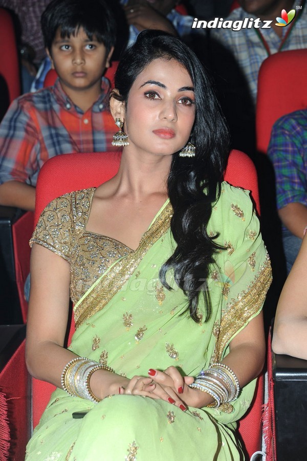 'Legend' Audio Launch(Set-2)