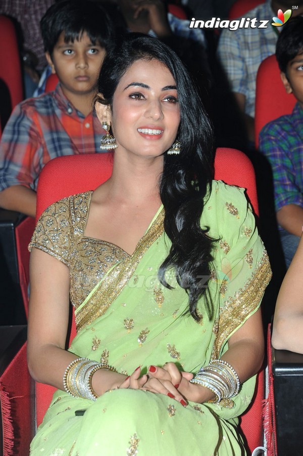 'Legend' Audio Launch(Set-2)