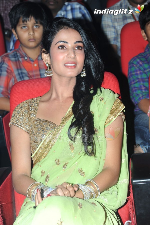 'Legend' Audio Launch(Set-2)