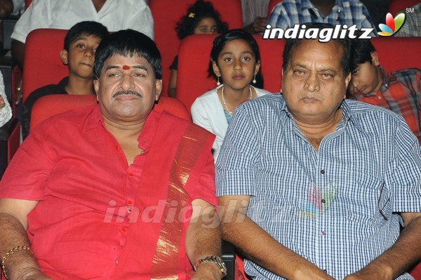 'Legend' Audio Launch(Set-2)