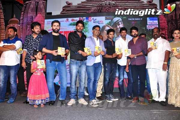 'Mosagallaku Mosagadu' Audio Launch Set-2