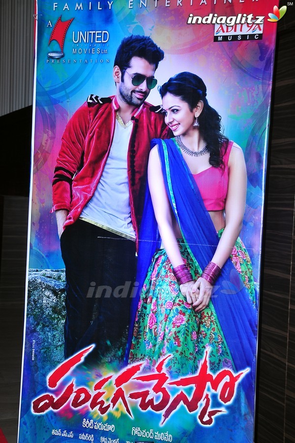 'Pandaga Chesko' Audio Launch Set-1