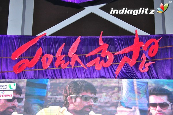 'Pandaga Chesko' Audio Launch Set-1