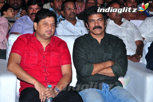 'Pandaga Chesko' Audio Launch Set-1