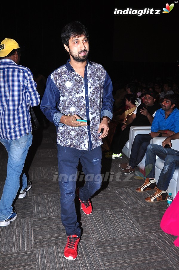 'Pandaga Chesko' Audio Launch Set-1