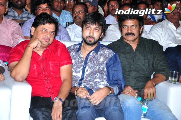 'Pandaga Chesko' Audio Launch Set-1