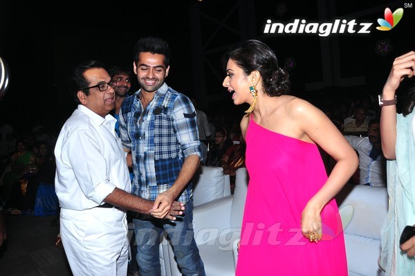 'Pandaga Chesko' Audio Launch Set-1