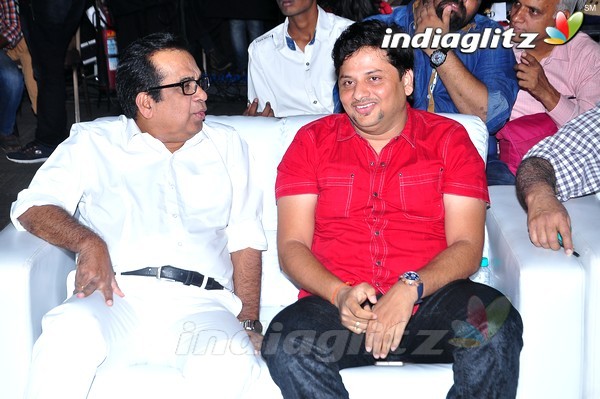 'Pandaga Chesko' Audio Launch Set-1