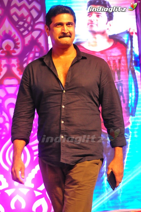 'Pandaga Chesko' Audio Launch Set-1