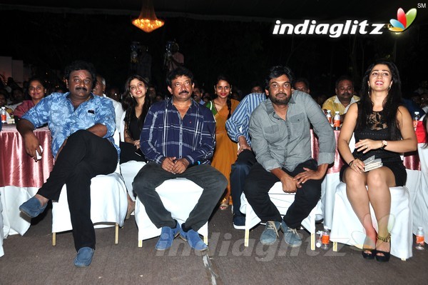 '365Days' Audio Launch Set-2